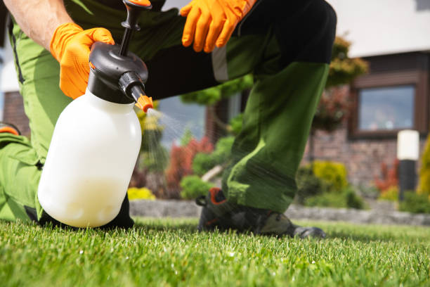 Best Rat Extermination Near Me  in China Spring, TX