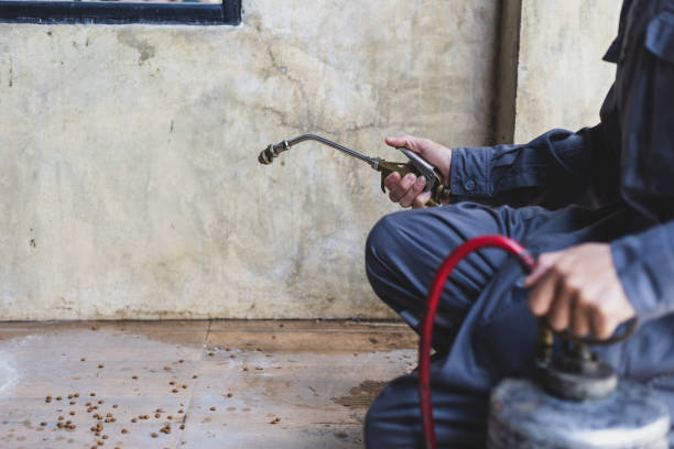 Best Cockroach Control Services  in China Spring, TX